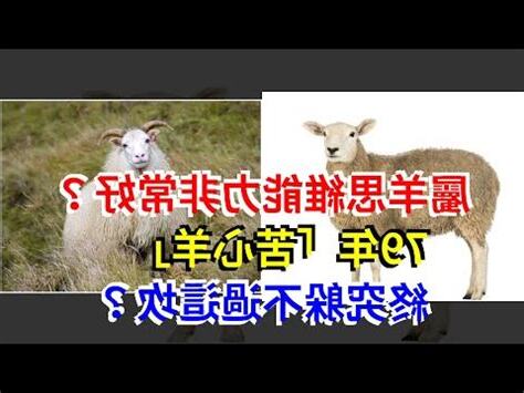 1979 羊 五行